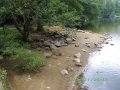 IMGP2741.JPG